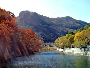 新澳门二四六天天彩，涤纶格栅